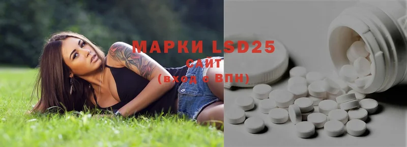 omg зеркало  Менделеевск  Лсд 25 экстази ecstasy  где можно купить наркотик 